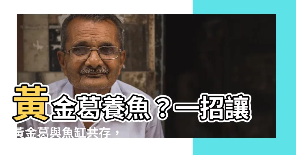 【黃金葛養魚】黃金葛養魚？一招讓黃金葛與魚缸共存，增添綠意還能淨化水質！
