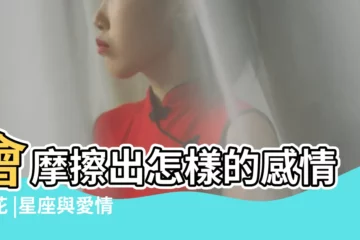 【摩羯座與獅子男】會摩擦出怎樣的感情火花 |星座與愛情 |小瑜星座 |