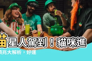 【貓進家裏】喵星人駕到！貓咪進家預兆大解析，好運財運從天降