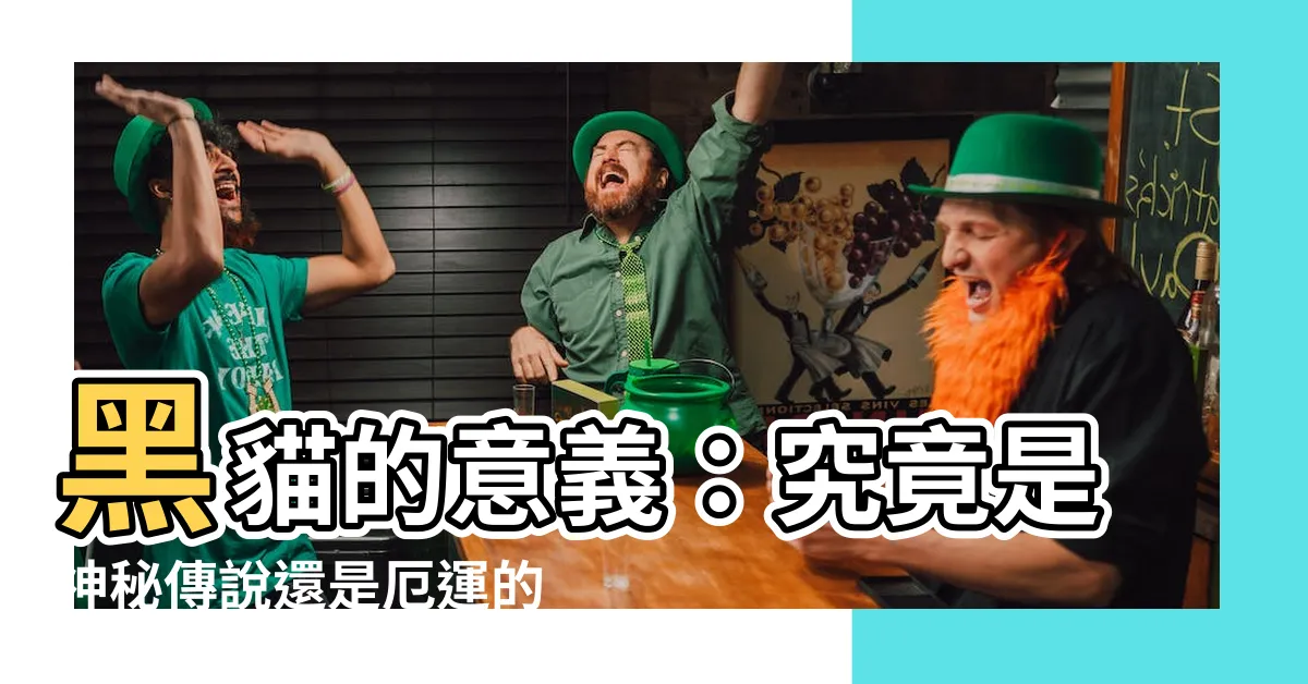 【黑貓 意思】黑貓的意義：究竟是神秘傳説還是厄運的象徵？
