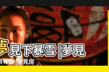 【夢到雪把房頂壓出了窟窿】夢見下暴雪 |夢見房頂有雪 |夢見房頂有雪 |