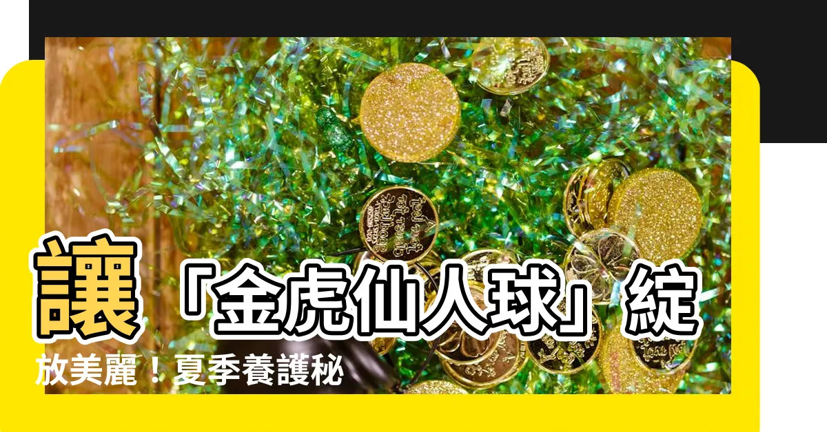 【金虎仙人球】讓「金虎仙人球」綻放美麗！夏季養護秘訣大公開