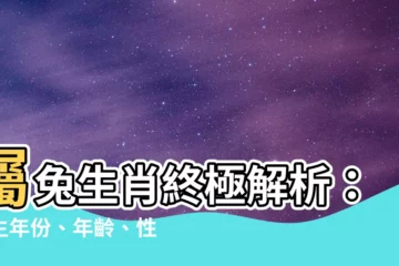 【屬兔生肖】屬兔生肖終極解析：出生年份、年齡、性格特質、生肖配對一覽
