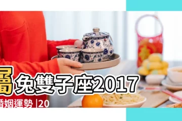 【2017年屬兔雙子座考試】屬兔雙子座2017年婚姻運勢 |2017年雙子座運勢完整版 |