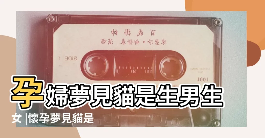 孕婦夢見貓是生男生女 |懷孕夢見貓是男孩子 |孕婦夢到貓是男孩女孩 |【胎夢夢到貓是男孩女孩】