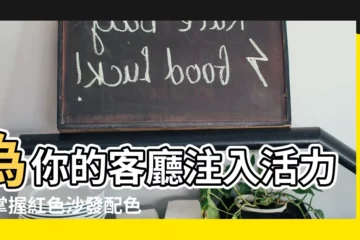 【紅色沙發配色】為你的客廳注入活力！掌握紅色沙發配色秘笈