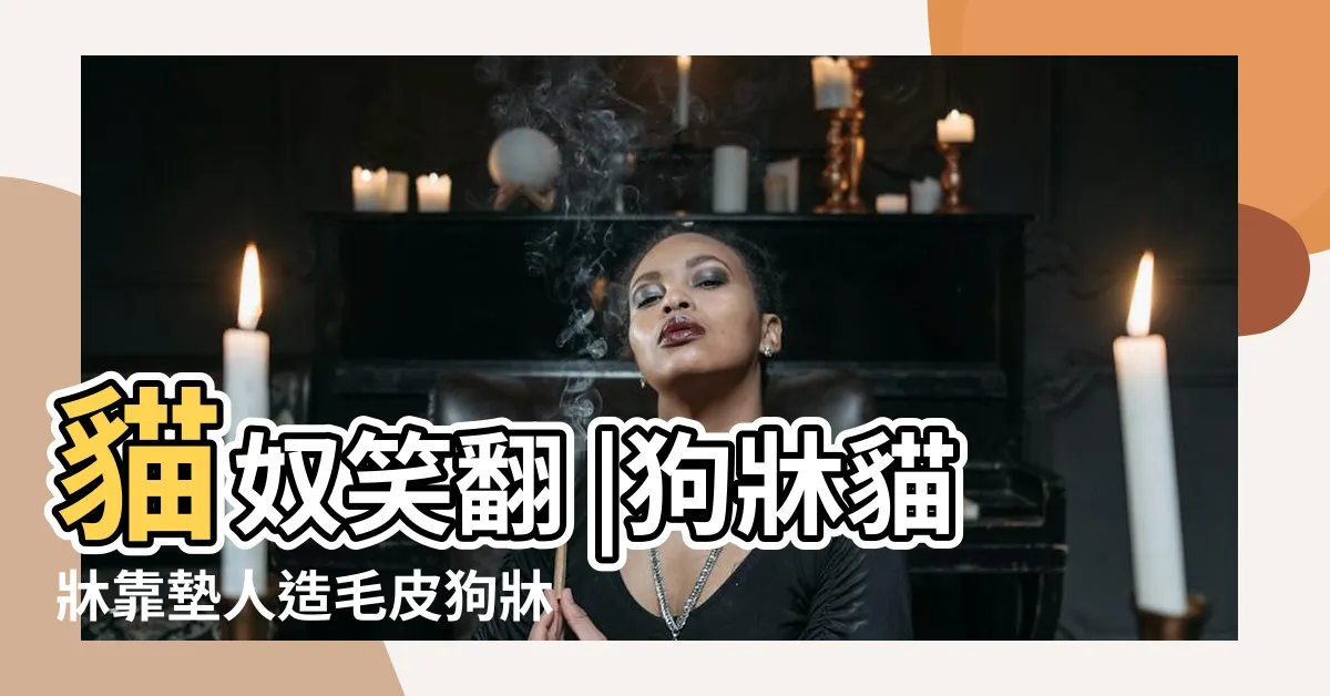 【牀貓中之人】貓奴笑翻 |狗牀貓牀靠墊人造毛皮狗牀適合中小型犬自暖室內 |叫人起牀卻見牀有4神獸 |