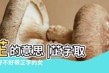 【芷字取名好不好】芷的意思 |芷字取名好不好帶芷字的女孩名字精選 |帶芷字的女孩名字大全 |
