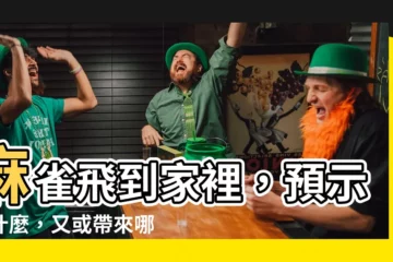 【麻雀飛到家裡】麻雀飛到家裡，預示了什麼，又或帶來哪些風水影響？