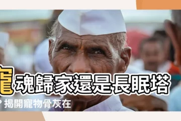 【寵物骨灰放在家】寵魂歸家還是長眠塔中？揭開寵物骨灰在家安置的禁忌與適當之道