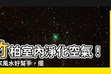 【竹柏 室內】竹柏室內淨化空氣！居家風水好幫手，擺好位置好處多多