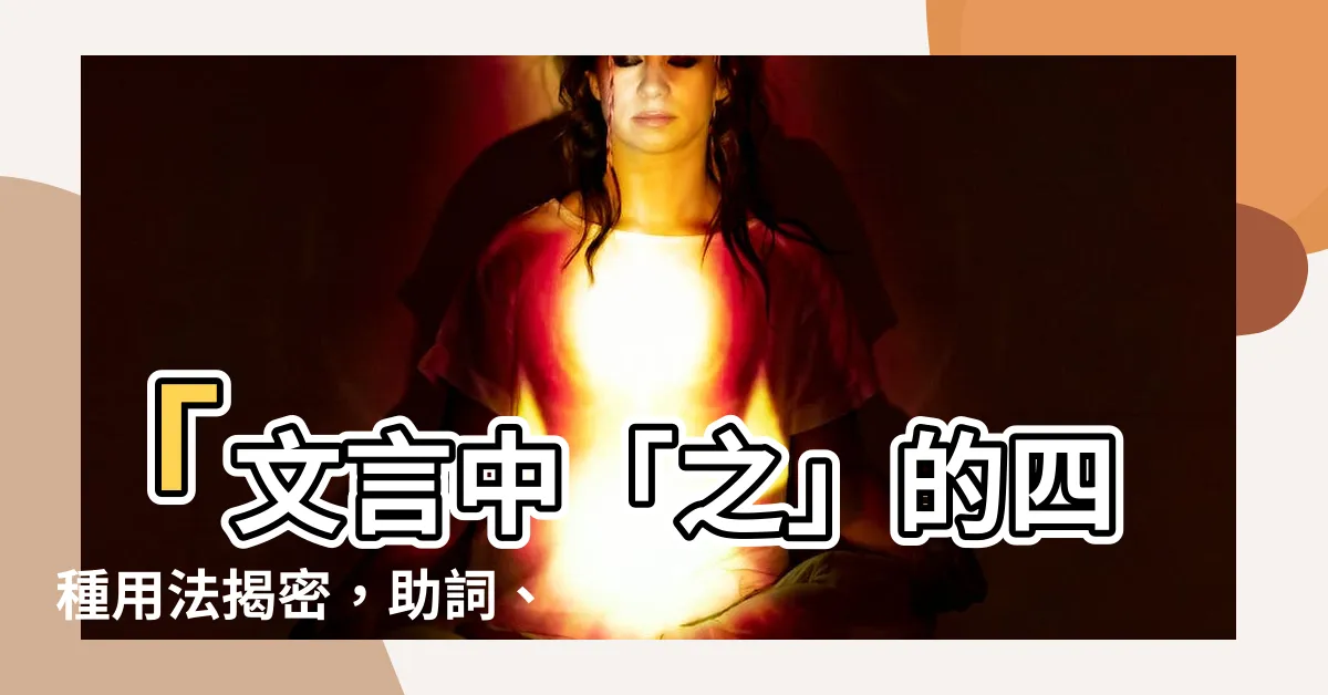 【之 用法】「文言中「之」的四種用法揭密，助詞、動詞還是代詞？」