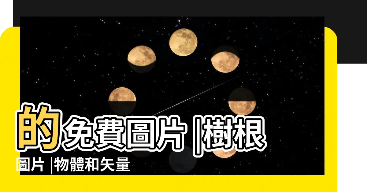 【樹木 根】的免費圖片 |樹根圖片 |物體和矢量圖 |