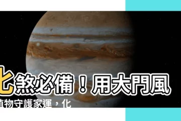 【大門風水植物】化煞必備！用大門風水植物守護家運，化解風水疑慮