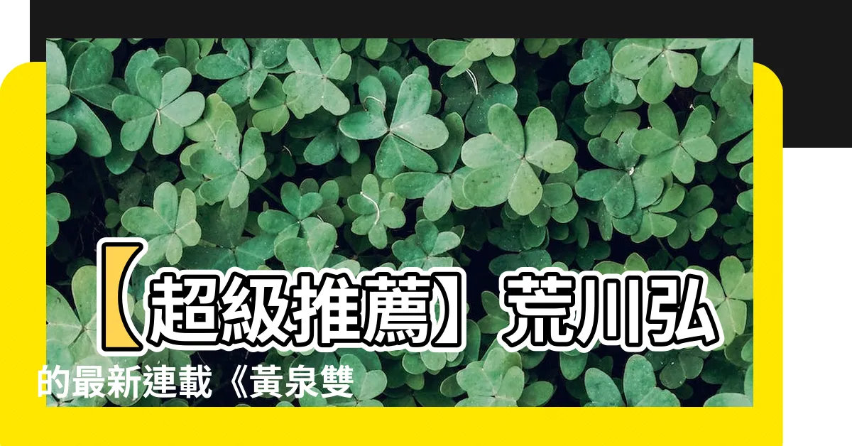 【黃泉雙使】【超級推薦】荒川弘的最新連載《黃泉雙使》即將震撼登場