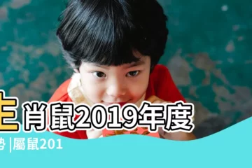 【2019年屬鼠全年運程】生肖鼠2019年度運勢 |屬鼠2019年運勢及運程屬鼠人2019年全年運勢 |屬鼠2019年運勢及運程2019年屬鼠人的全年運勢 |