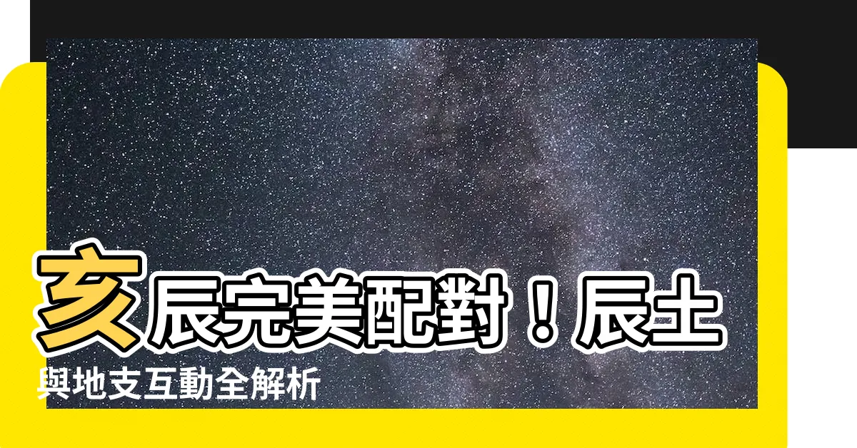 【亥辰】亥辰完美配對！辰土與地支互動全解析