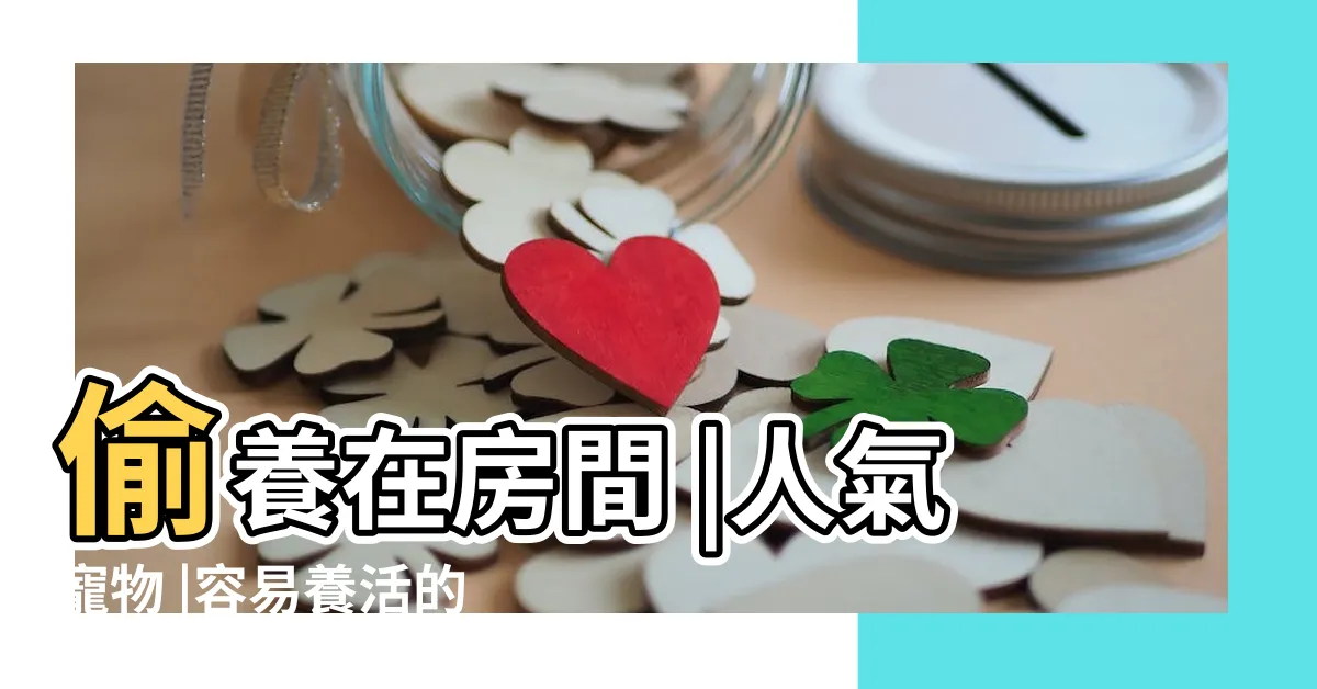 【最適合養的寵物】偷養在房間 |人氣寵物 |容易養活的寵物有哪些 |