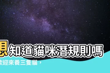 【養三隻貓】想知道貓咪潛規則嗎？歡迎來養三隻貓，讓居家樂趣X3！