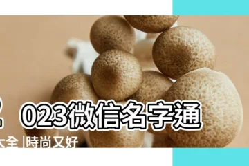 【最時髦的微信名稱】2023微信名字通用大全 |時尚又好聽的微信名字有哪些 |2023年最流行的微信名2023最火的微信暱稱 |