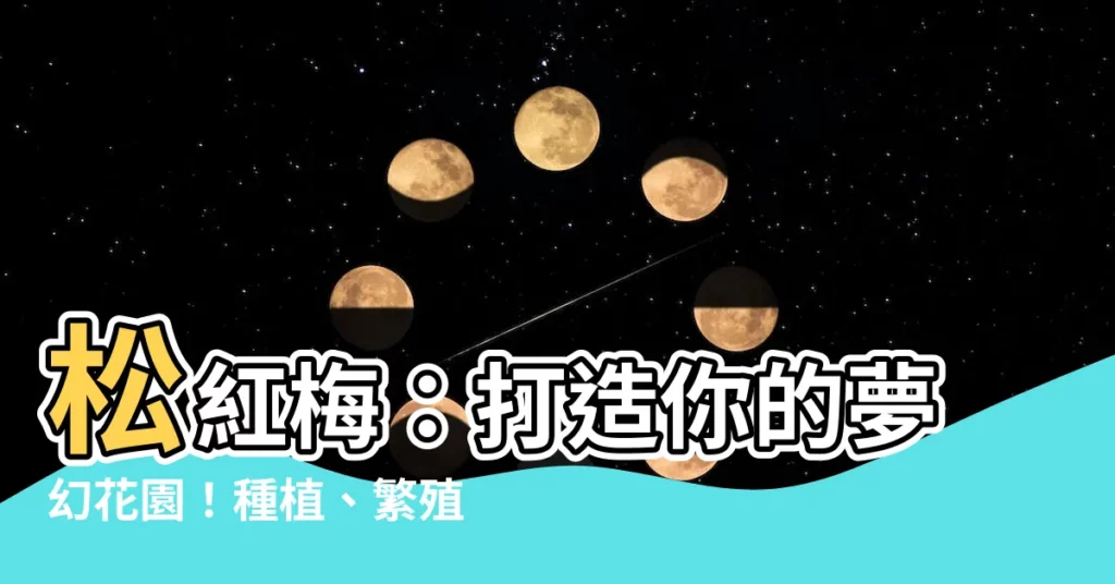 【松紅梅 種植】松紅梅：打造你的夢幻花園！種植、繁殖全攻略