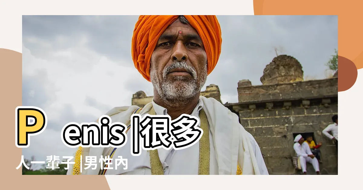 【男生殖器】Penis |很多人一輩子 |男性內生殖器官有哪些 |