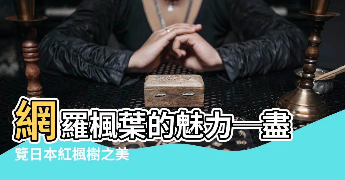 【紅楓樹】網羅楓葉的魅力─盡覽日本紅楓樹之美