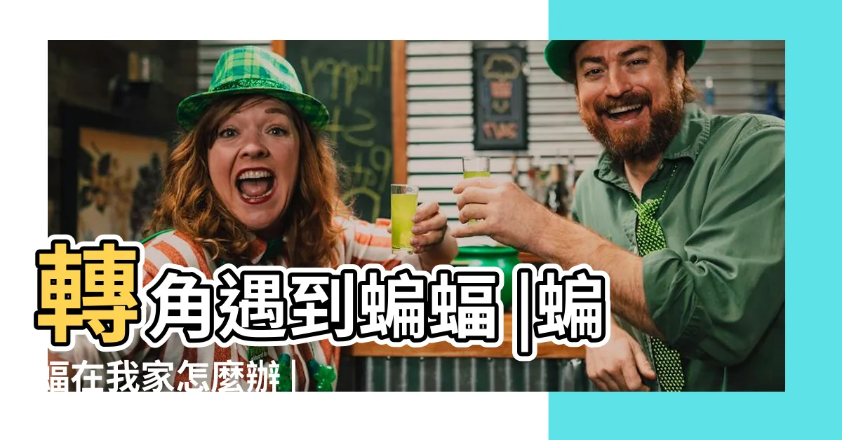 【家裡出現蝙蝠怎麼辦】轉角遇到蝙蝠 |蝙蝠在我家怎麼辦 |家裡有蝙蝠跑進來怎麼辦 |