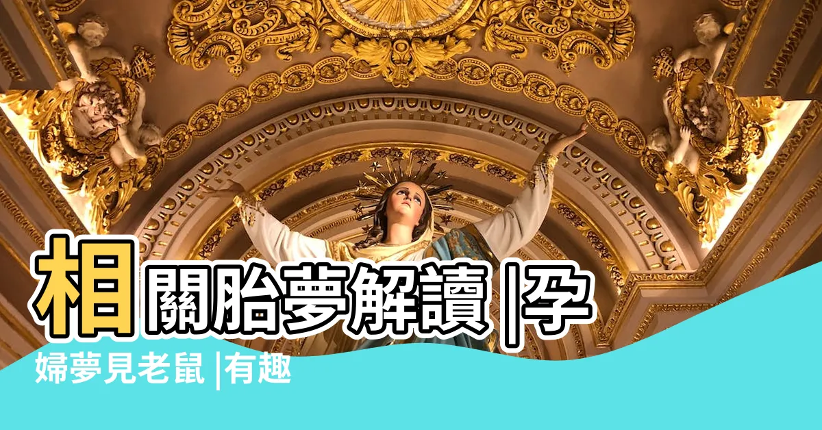 【孕婦夢到老鼠】相關胎夢解讀 |孕婦夢見老鼠 |有趣的胎夢 |