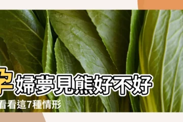 【孕婦夢到黑熊】孕婦夢見熊好不好 |來看看這7種情形下的夢境解讀吧 |孕婦夢見一隻小黑熊是啥意思預兆 |
