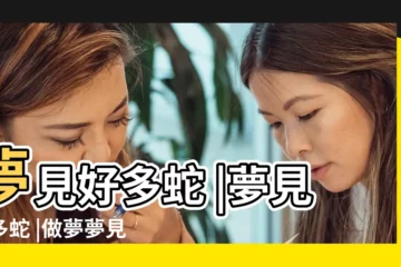 【夢到很多蛇周公解夢】夢見好多蛇 |夢見很多蛇 |做夢夢見很多蛇好不好 |