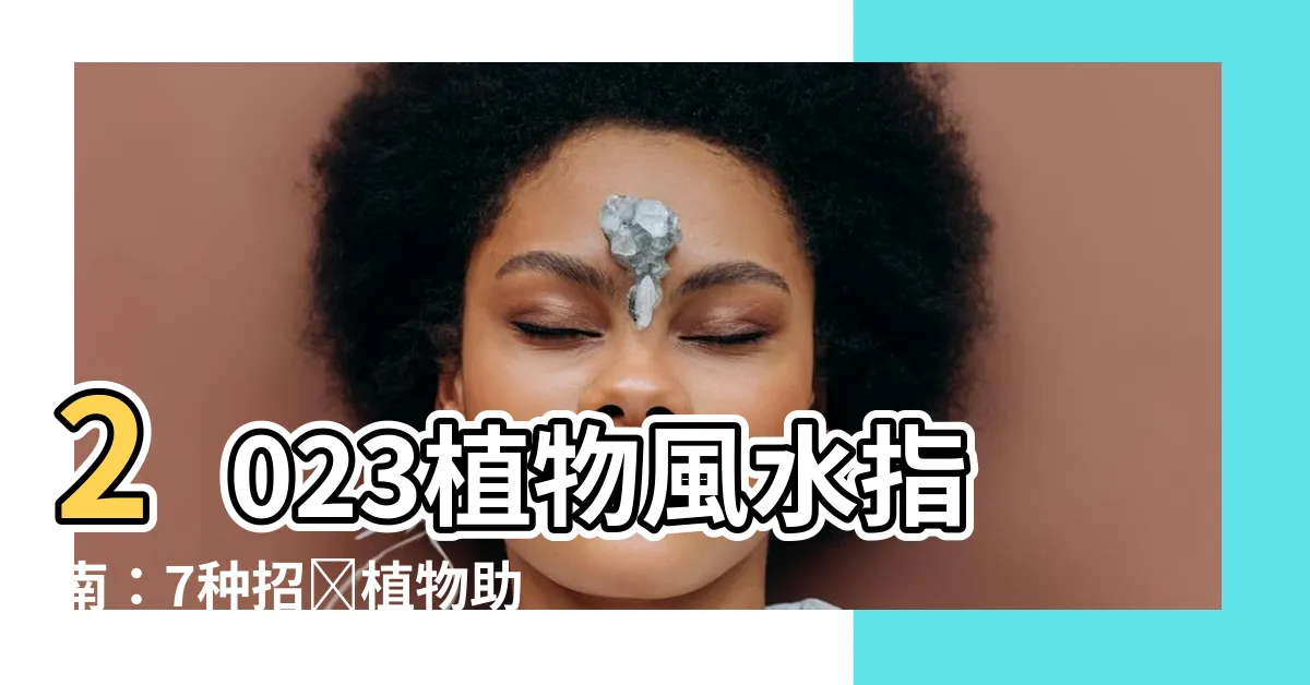 【植物風水2023】2023植物風水指南：7種招財植物助你財運亨通