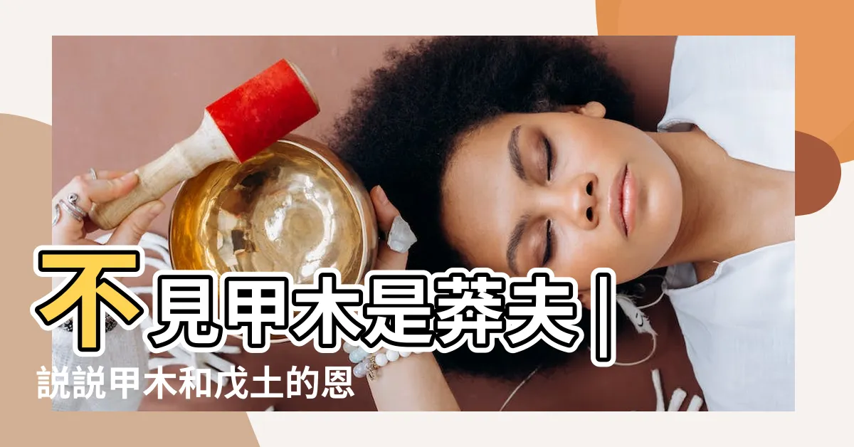 【甲木戊土】不見甲木是莽夫 |説説甲木和戊土的恩恩怨怨 |戊土見甲木是能人 |