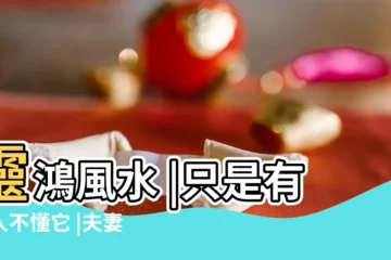 【夫妻宮癸末】靈鴻風水 |只是有些人不懂它 |夫妻宮十星所暗示的未來的夫妻緣分 |