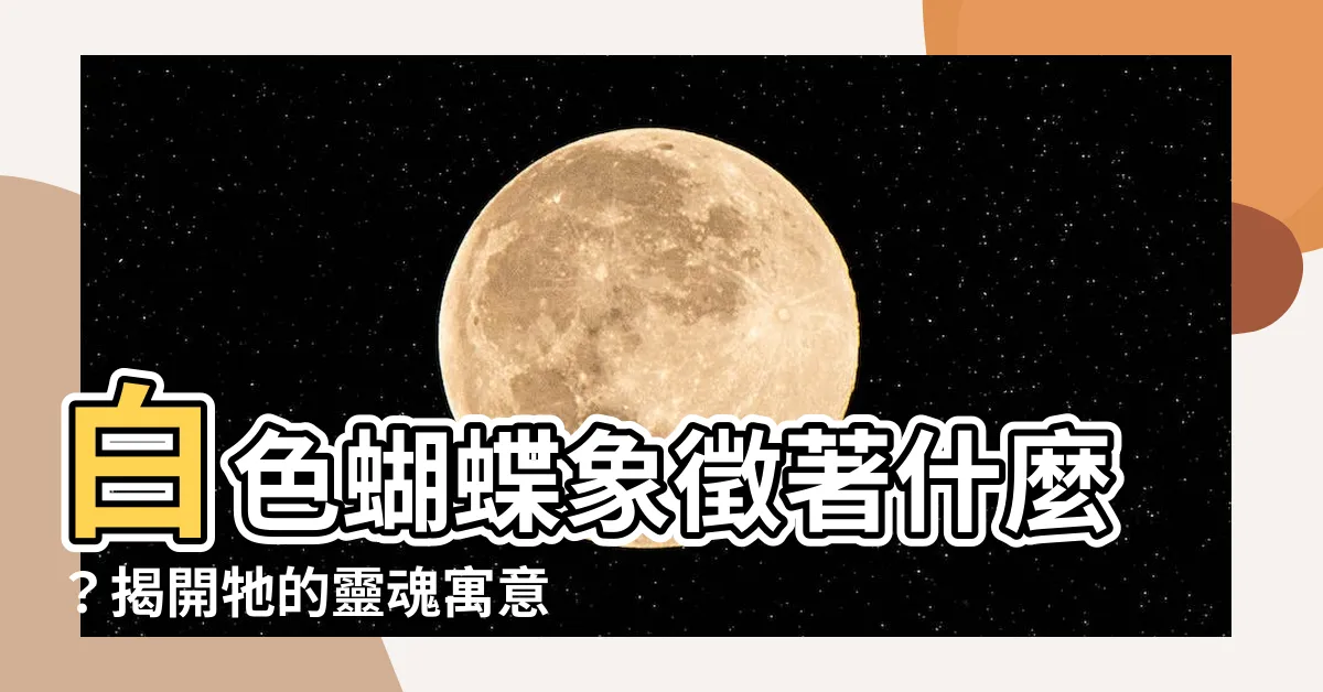 【白色蝴蝶代表什麼】白色蝴蝶象徵著什麼？揭開牠的靈魂寓意