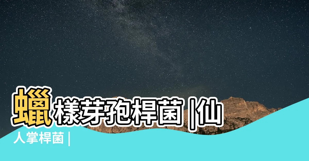 【細菌仙人】蠟樣芽孢桿菌 |仙人掌桿菌 |