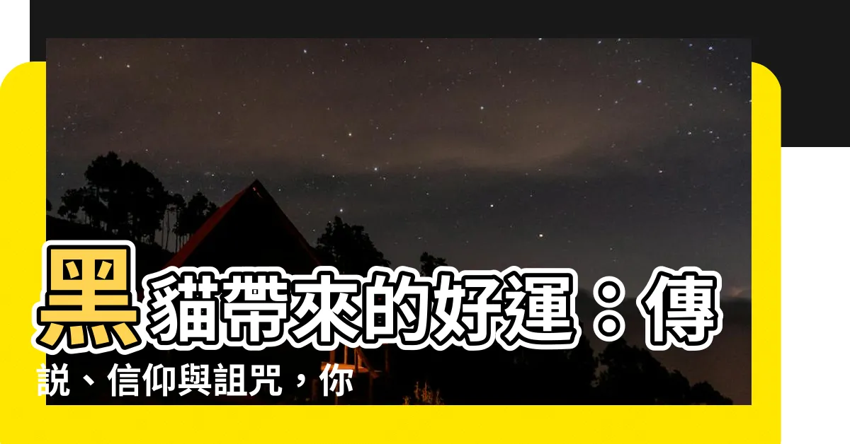 【黑貓 好運】黑貓帶來的好運：傳説、信仰與詛咒，你一定不知道的秘密！