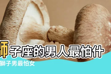 【獅子座的男生怕什麼】獅子座的男人最怕什麼 |獅子男最怕女生什麼 |獅子座男生最怕承受的愛 |
