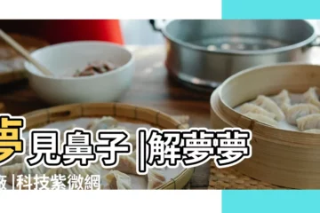 【夢見鼻子生瘡流血】夢見鼻子 |解夢夢工廠 |科技紫微網 |