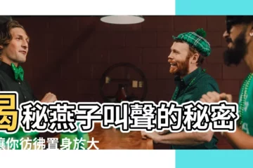 【燕子叫】揭秘燕子叫聲的秘密，讓你彷彿置身於大自然！