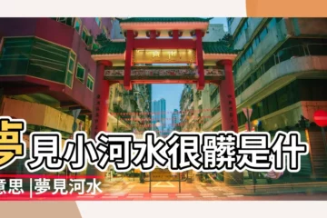 【夢見小河水是什麼】夢見小河水很髒是什麼意思 |夢見河水 |做夢夢見河流好不好 |