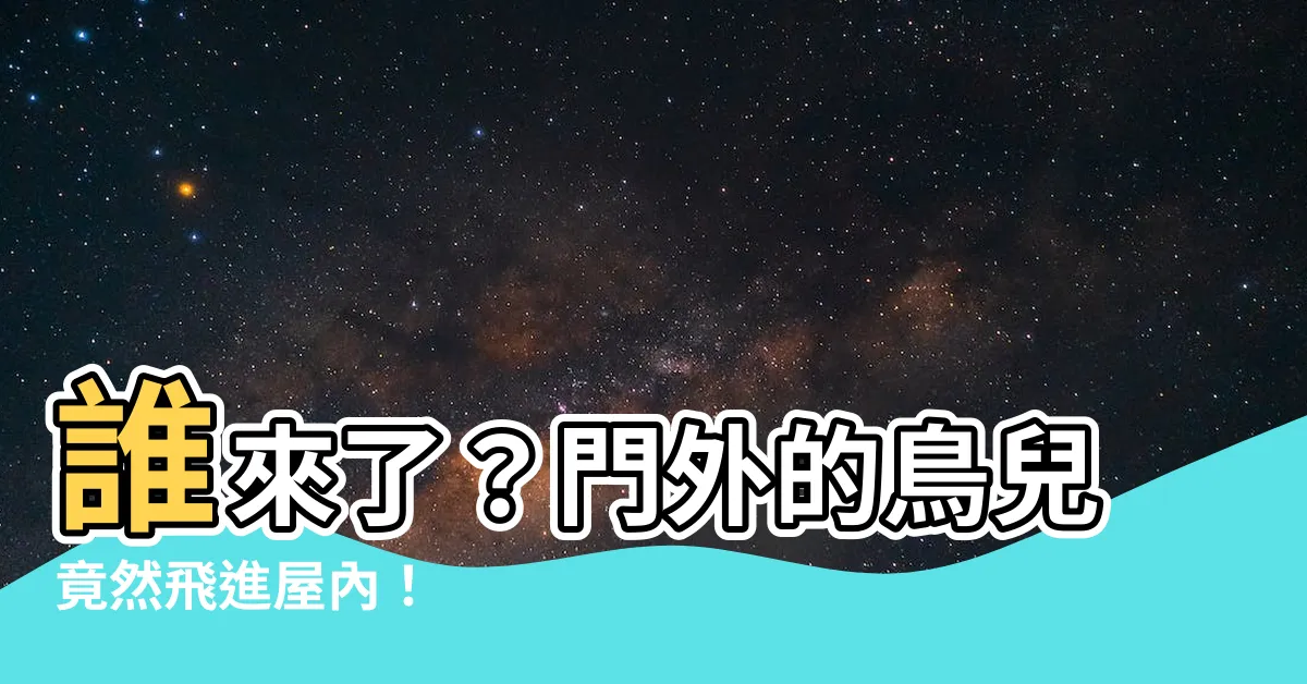 【鳥入屋】誰來了？門外的鳥兒竟然飛進屋內！