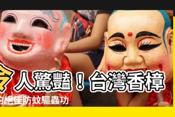 【台灣香樟木】令人驚豔！台灣香樟木的絕佳防蚊驅蟲功效