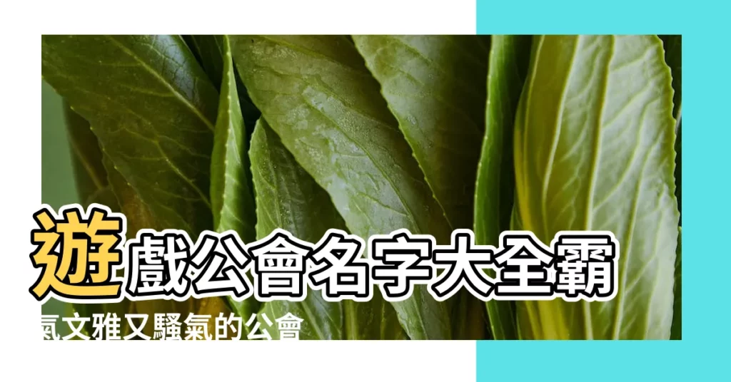 遊戲公會名字大全霸氣文雅又騷氣的公會名字 |遊戲公會名字 |遊戲幫派名字 |【個性遊戲公會名字大全】