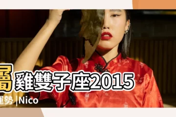【雙子座屬雞女的今年運勢2015年】屬雞雙子座2015年運勢 |Nicols |Georgia |