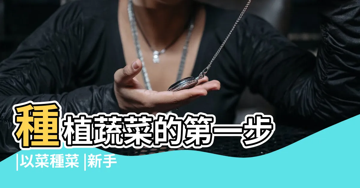 【初學者種菜】種植蔬菜的第一步 |以菜種菜 |新手種菜不用擔心 |