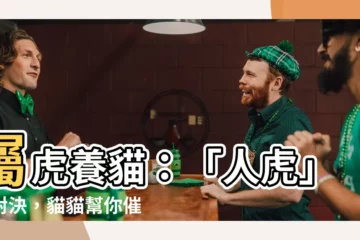 【屬虎養貓】屬虎養貓：「人虎」大對決，貓貓幫你催財旺運？