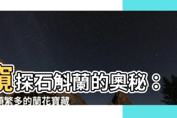【石斛蘭蘭花種類】窺探石斛蘭的奧秘：種類繁多的蘭花寶藏