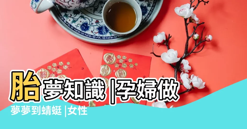 胎夢知識 |孕婦做夢夢到蜻蜓 |女性夢見蜻蜓是胎夢 |【孕婦夢到蜻蜓是胎夢嗎】