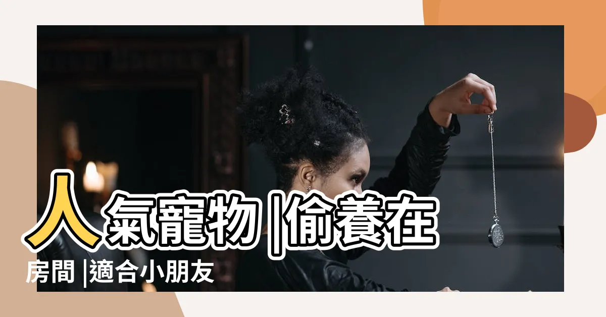 【養小動物】人氣寵物 |偷養在房間 |適合小朋友養 |